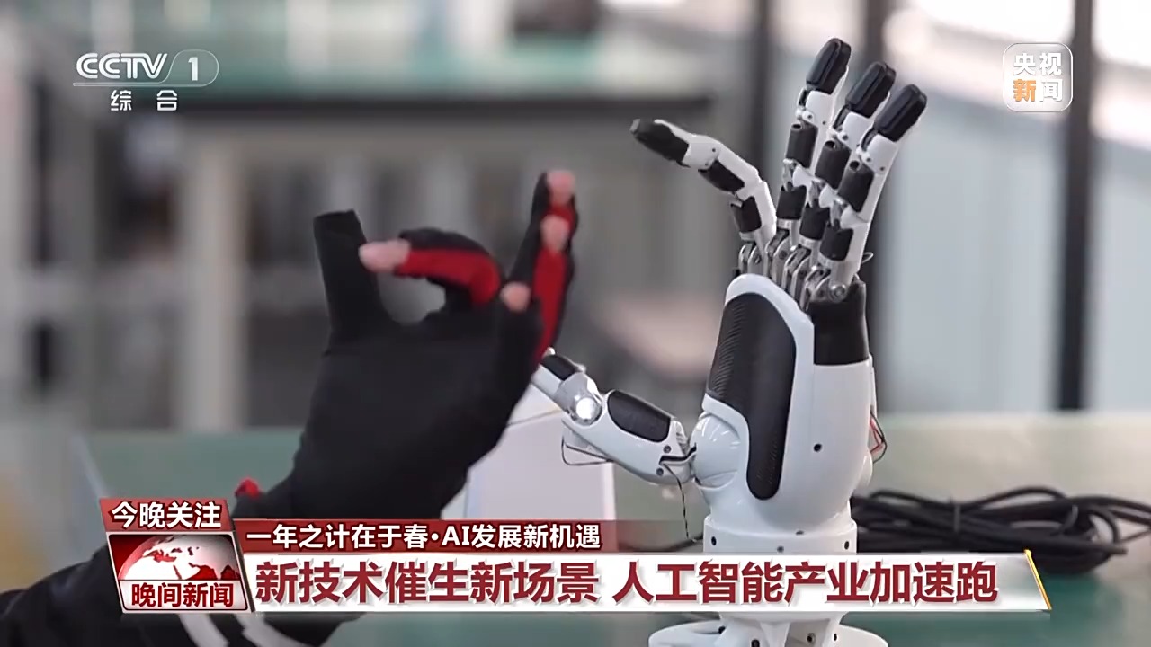 本赛季
